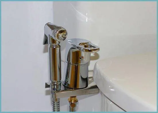 Гигиенический душ для унитаза со смесителем: достойная альтернатива биде