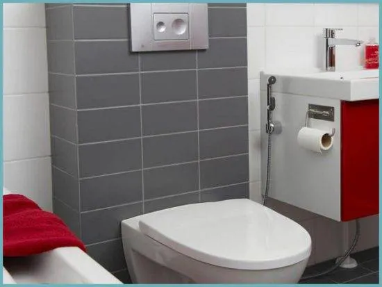 Гигиенический душ для унитаза со смесителем: достойная альтернатива биде
