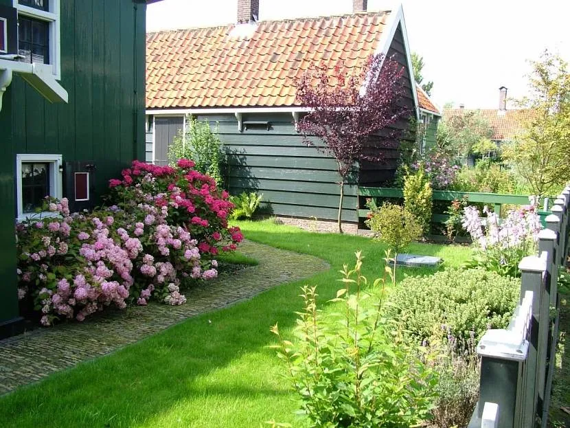 Задний двор в голландском стиле