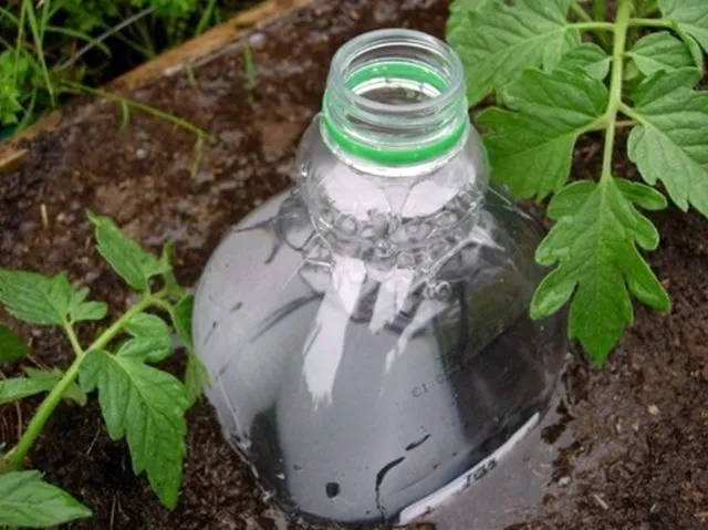 Пластиковая бутылка для капельного полива